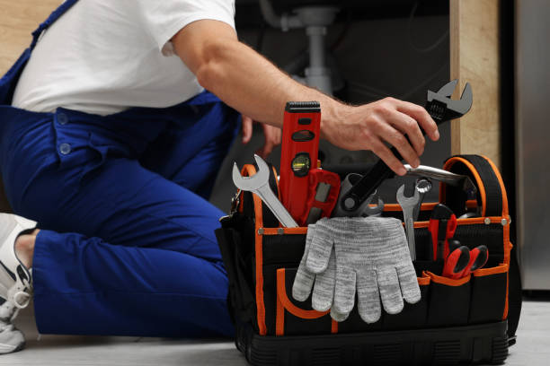 Best Same-Day Plumbing Service  in Allendale, MI